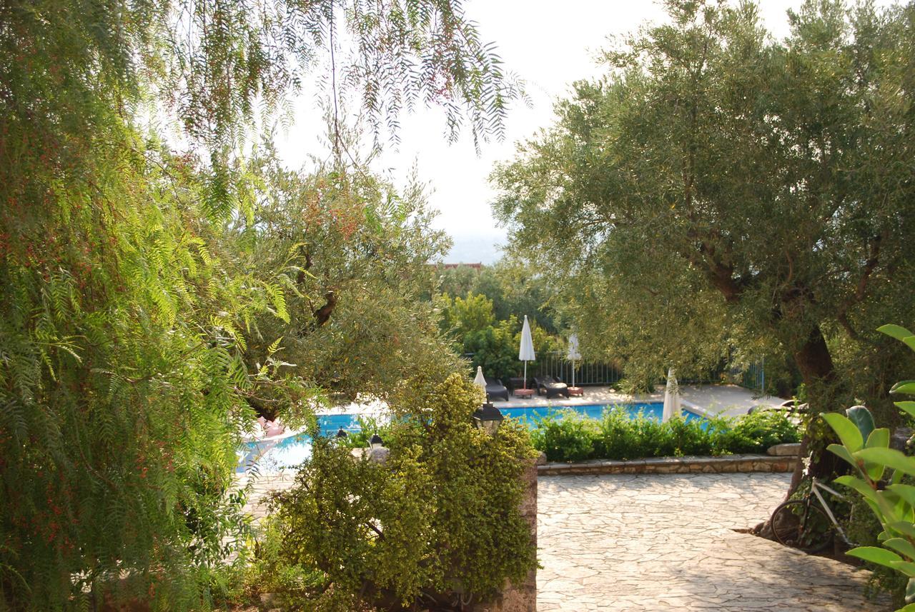 Hotel Anatoli Labreon Agia Marina  Exterior foto