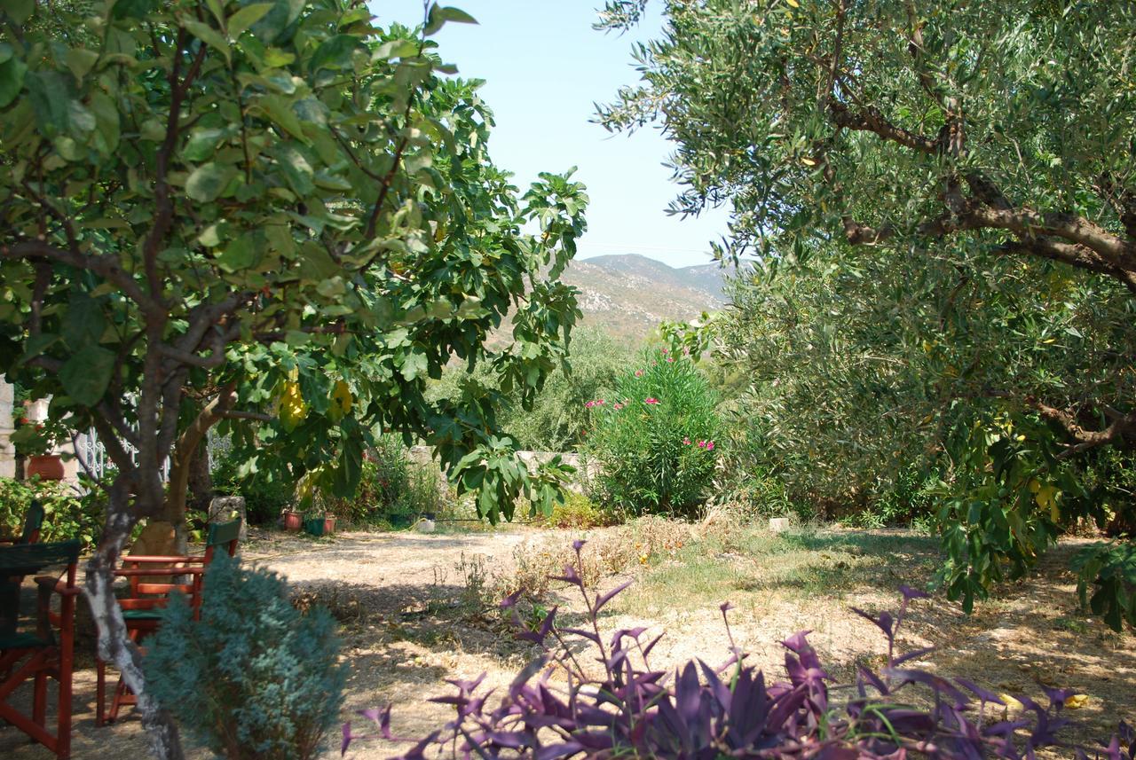 Hotel Anatoli Labreon Agia Marina  Exterior foto