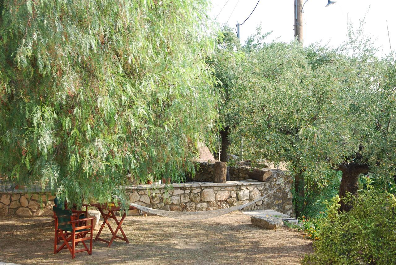 Hotel Anatoli Labreon Agia Marina  Exterior foto