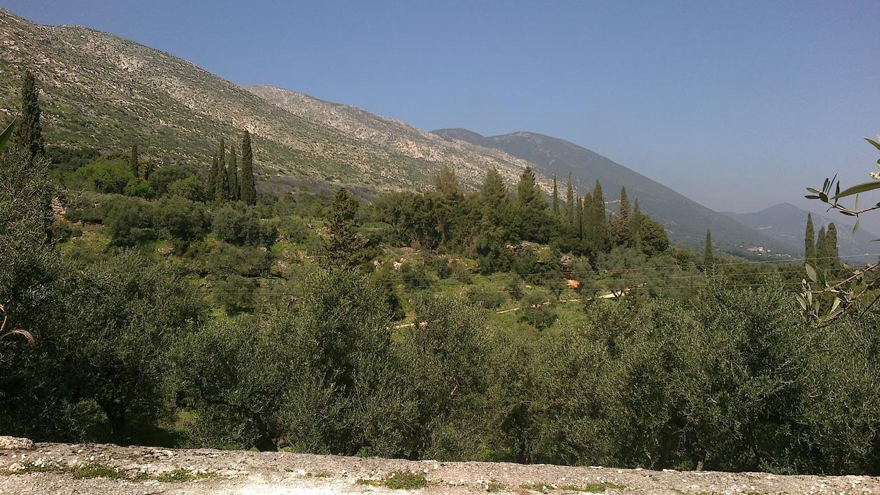 Hotel Anatoli Labreon Agia Marina  Exterior foto